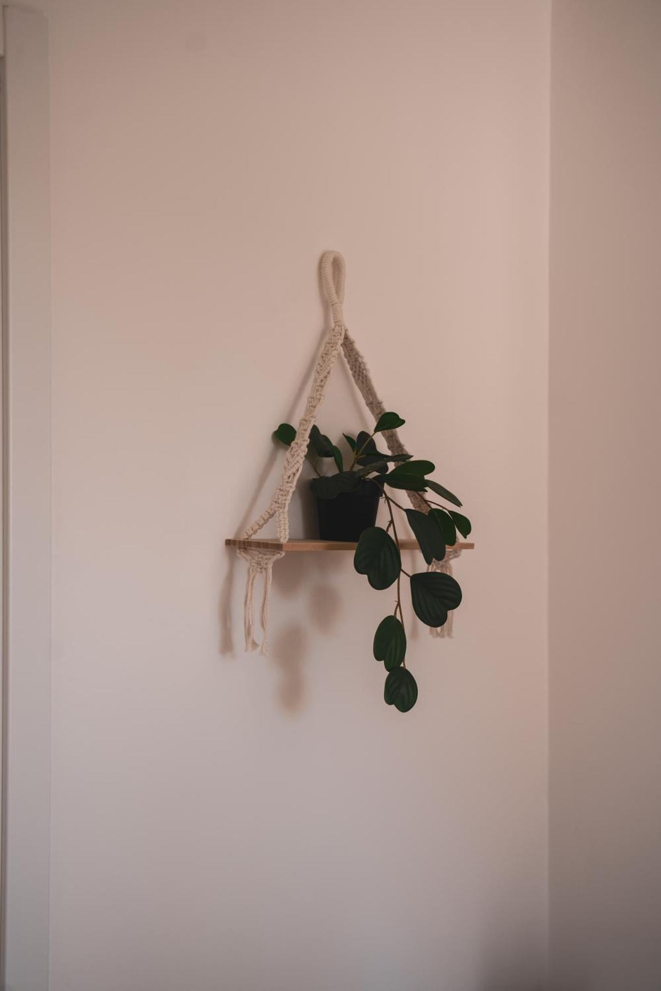 בארי Macrame Room מראה חיצוני תמונה